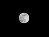 969A6452  The moon