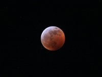 969A6641  Blood moon