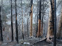 969A9993  Trail to Horseshoe Lake