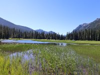 IMG 9481