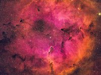 ElephantTrunk IC1396  Elephant Nebula