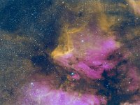 IC5070 2lr  Pelican Nebula