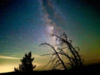 IMG 3533  Looking south at Tyee Lookout