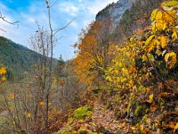 IMG 5210  Trail up Perry Creek