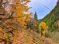 IMG 5276  Trail up Perry Creek