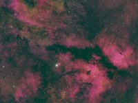 NGC6910  Inchworm Cluster