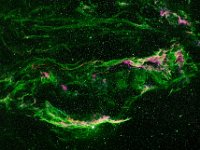 NGC6992 VeilNebulat25a  Viel Nebula