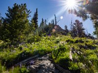 R6  0995  Basalt Ridge Trail