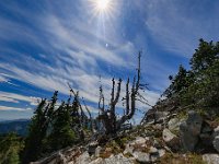 R6  1183  Trail to Mt Mastiff