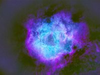 SH2275 starlessLR  Rosette Nebula