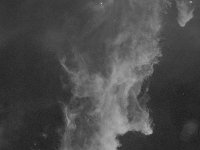 WitchsHead4 noStars  Witch Head Nebula