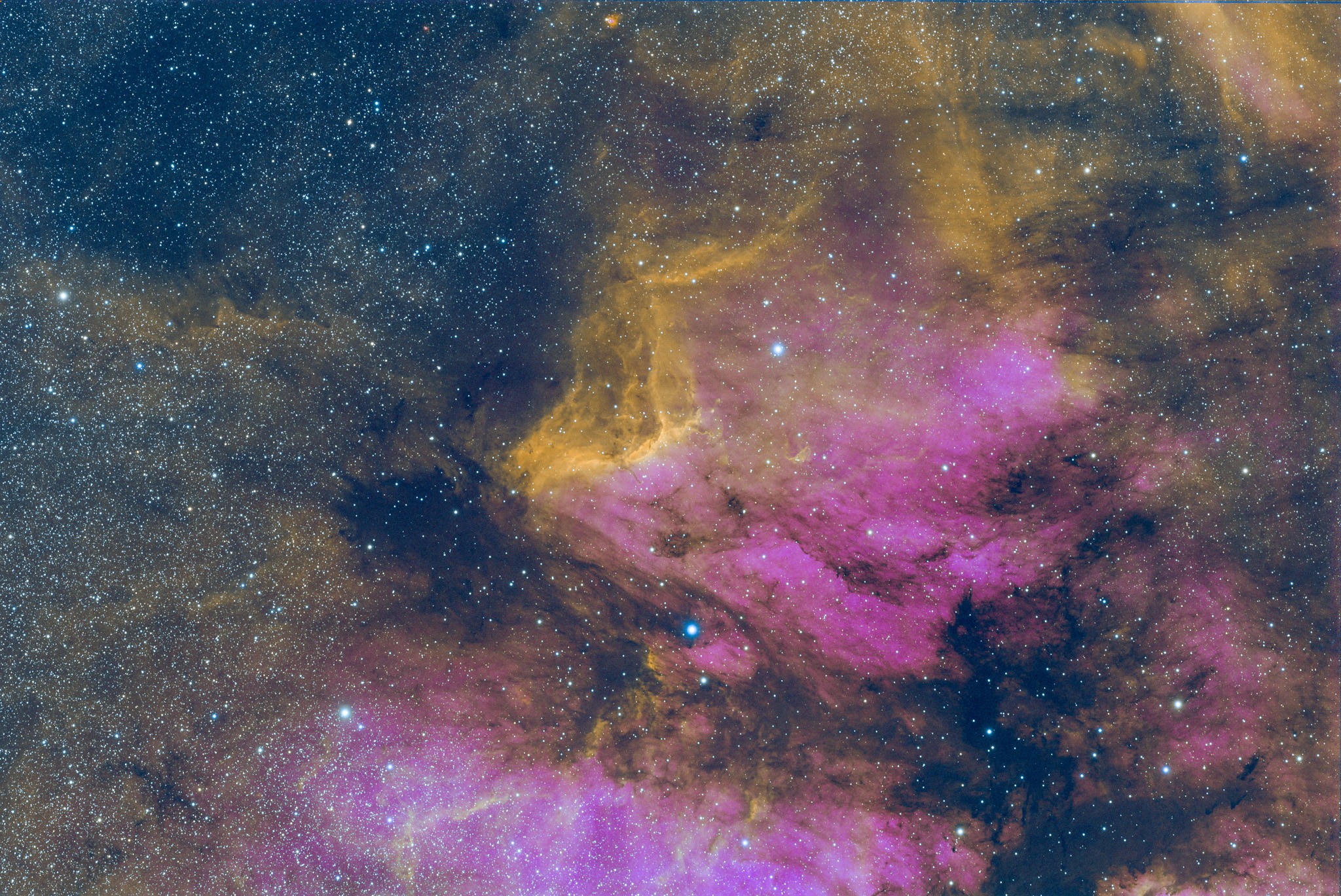(IC 5070) Pelican Nebula